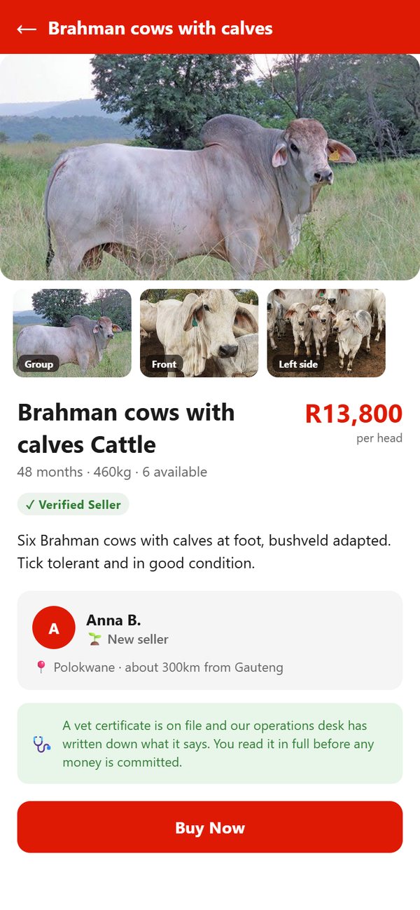 A listing in the Live Stock app: photos from every side, price per head, verified seller and the Buy Now button