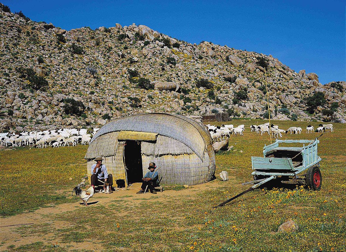 A herding family with their sheep and goats beside a reed hut in the Northern Cape